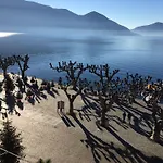 Elvezia 3* Ascona
