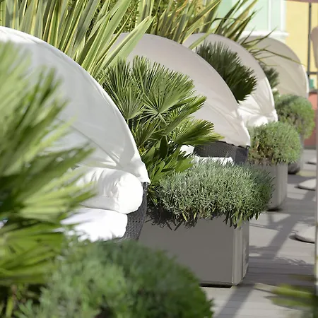 Hotel Elvezia 3*