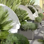 Ξενοδοχείο Elvezia 3*