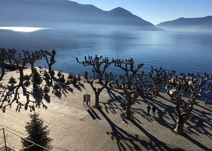 Elvezia 3* Ασκόνα