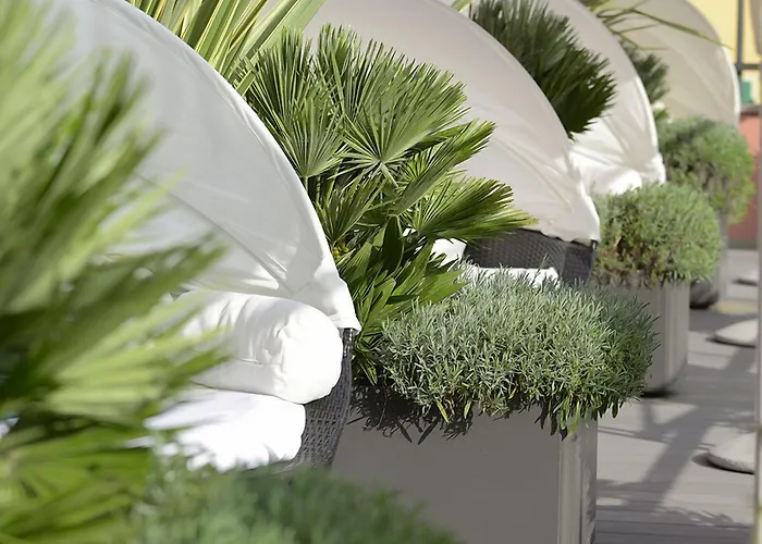 Ξενοδοχείο Elvezia 3*